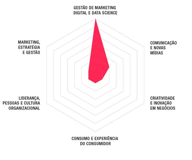 Pos Graduacao Certificate em Comunicacao e Marketing Digital SP 1