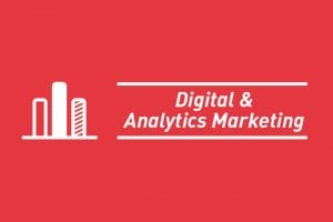 dynamic 0004 Digital Analytics Marketing