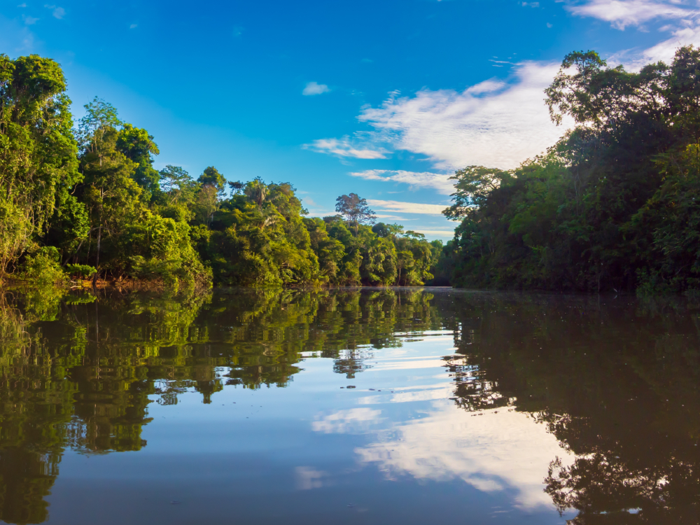 Curso de Extensão Dynamic da ESPM promove imersão na Floresta Amazônica 13 Imersão na Floresta Amazônica