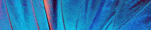 site_bg_0005_Layer-8-min-min-min