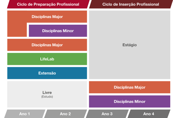 grad dsg animacao25