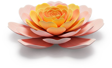 hub beleza e wellness flor