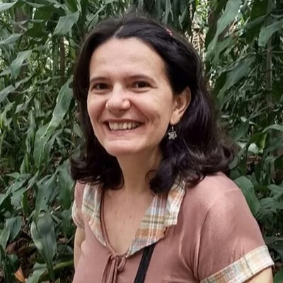 IV Ciclo de Estudos Jerusa Pires Ferreira 2 rosangela maria oliveira guimaraes