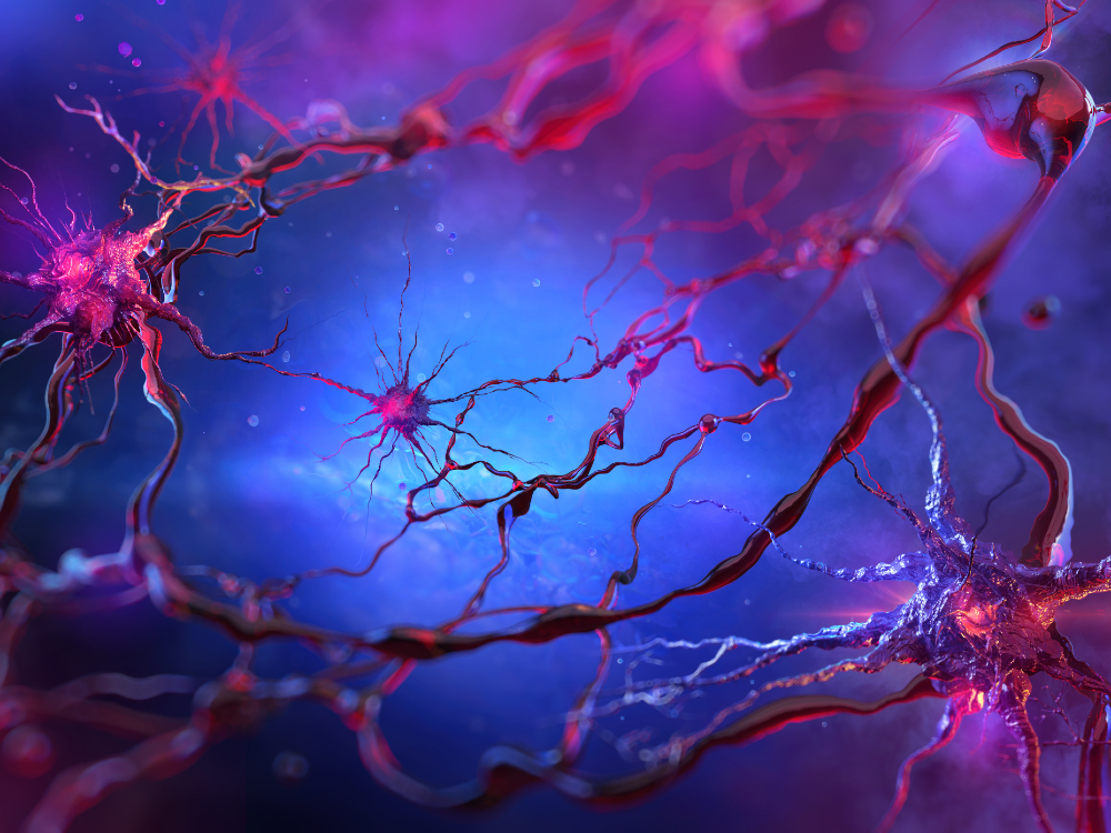 A neurociência já se consolidou como ferramenta de investigação dos hábitos de consumo dos indivíduos e os avanços tecnológicos nessa área vem atraindo mais pessoas para cursar uma pós em neurociência.